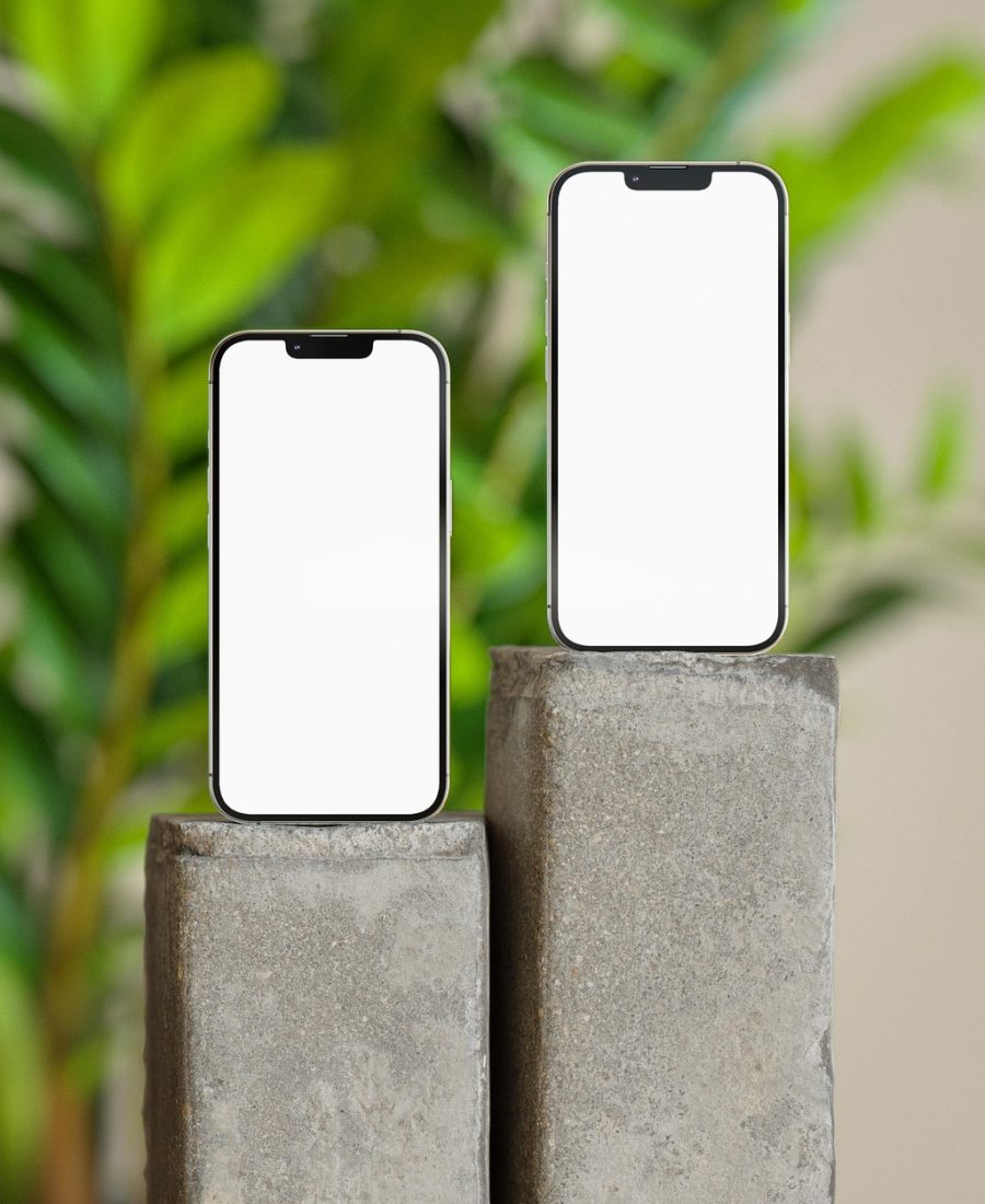 zhiwang App 主界面实拍示意：手机竖屏上排布着待核名称卡片与绿色已确认标记，背景是深蓝紫色的夜间桌面环境，光线偏冷